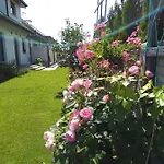 Lawenda