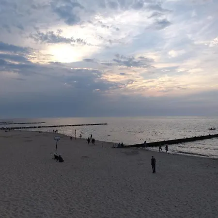 Lawenda * Wrzosowo (Kamien)