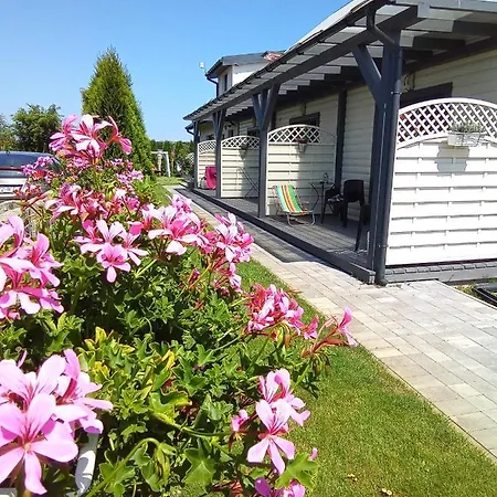 Lawenda Wrzosowo (Kamien)