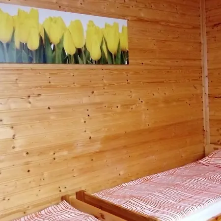 Lawenda Wrzosowo (Kamien)